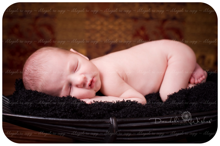 Best Baby Picture Studios in Washington DC metro area ~ near Arlington VA 22207 Best Baby Picture Studios in Washington DC metro area ~ near Arlington VA 22207