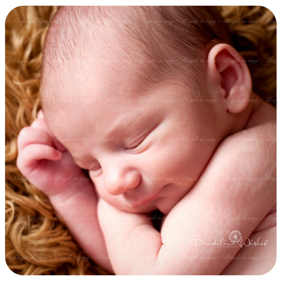 Top Baby Photo Studios in greater Washington DC area ~ near Arlington VA 22207 Top Baby Photo Studios in greater Washington DC area ~ near Arlington VA 22207