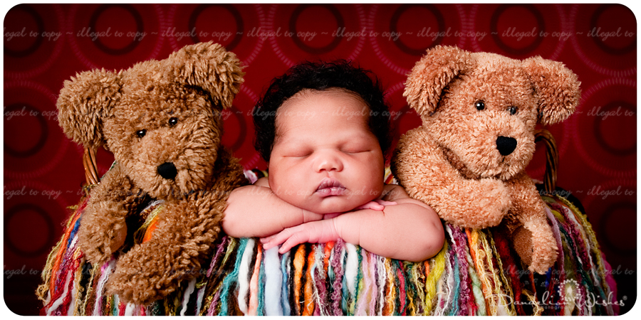 Newborn photographer to Ashburn, VA 