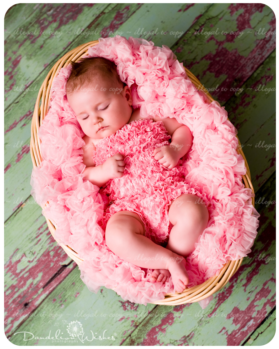 Creative Baby Photographers to Bethesda MD ~ Top Baby Picture Studios near Montgomery County MD & Suburban Maryland