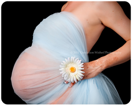 Premier maternity & newborn portrait studio near Leesburg, Virginia.