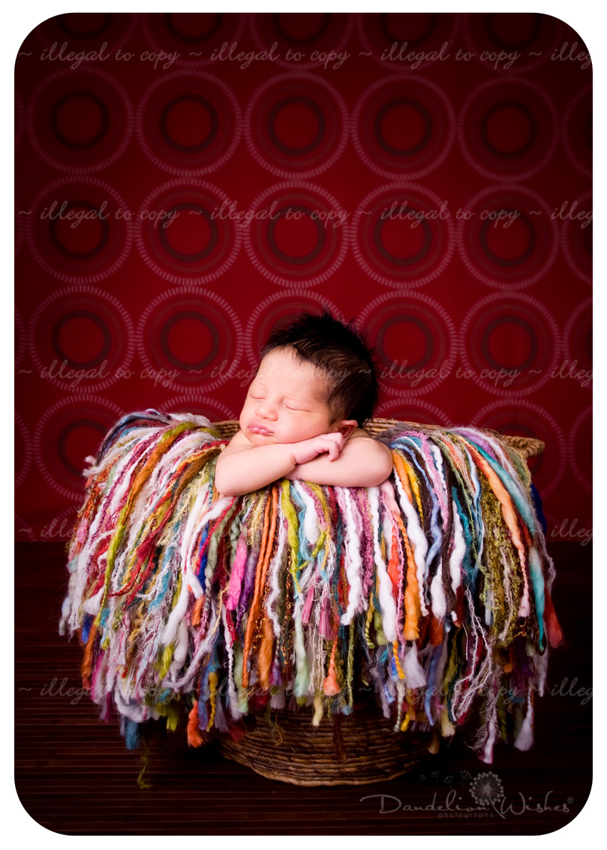 Beautiful newborn baby photos ~ Professional Newborn Photographers to Culpeper Virginia ~ in Northern VA Beautiful newborn baby photos ~ Professional Newborn Photographers in Northern VA ~ Near Culpeper, Virginia