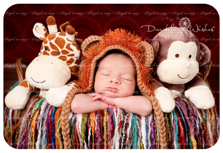 Top Newborn Photographer to Leesburg Virginia 20175 ~ close to Loudoun County VA