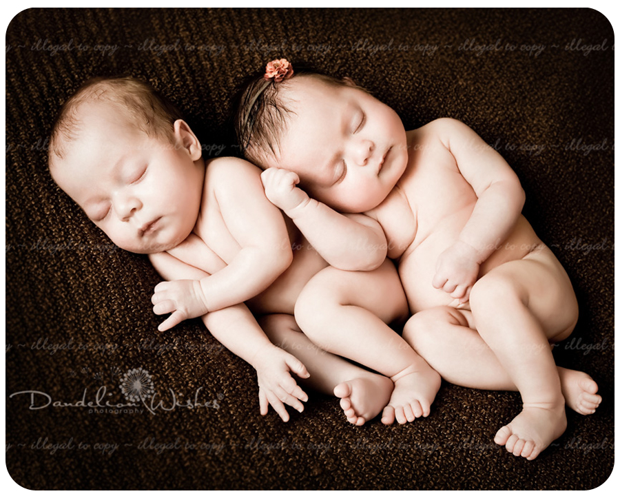 newborn twins photography 