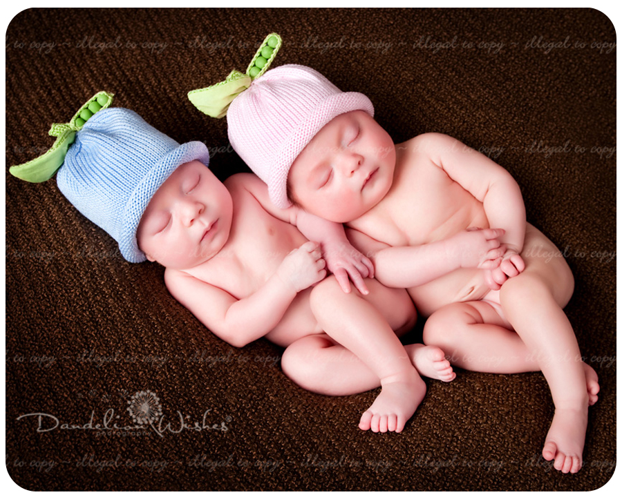 Infant twins photographer