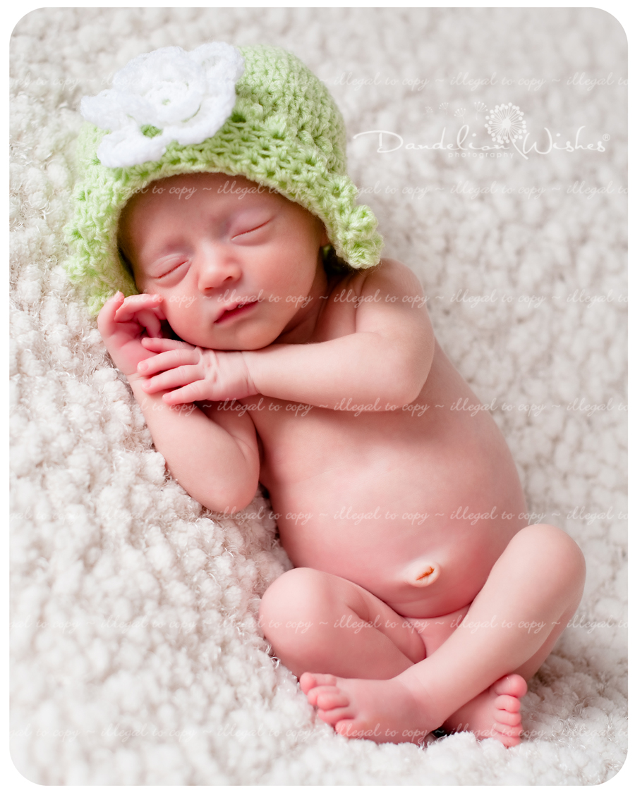  Premier newborn portrait photographers in Washington DC metro area ~ close to Alexandria, VA 22313, 22314, 22315.