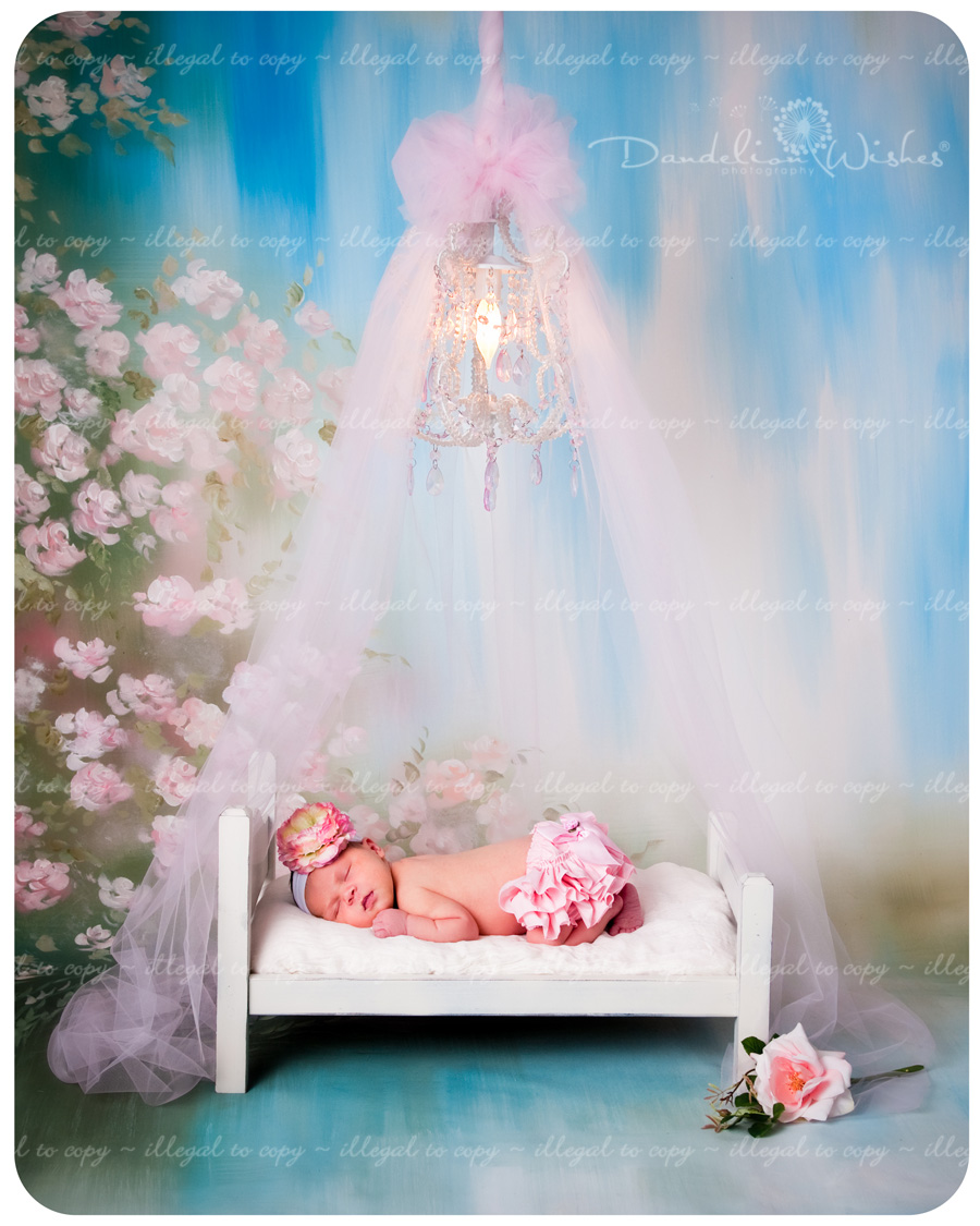 Creative Newborn Baby Photographers near Fredericksburg, Virginia. DSC_5523_blog