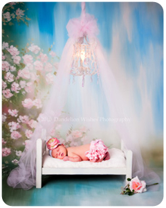 Northern Virginia, Washington DC area Premier photographer for artistic newborn photography ~ "your baby as {art}" ™ 