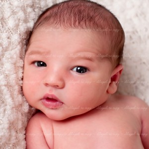 Unique newborn photography near Springfield Virginia 22150, 22151, 22152, 22153, 22156, 22158, 22159, 22160 & 22161