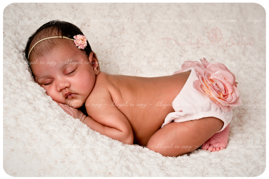 Premier artistic newborn photographer to Arlington, VA 22201, 22202, 22203, 22204, 22205, 22206, 22207, 22209 & 22213.