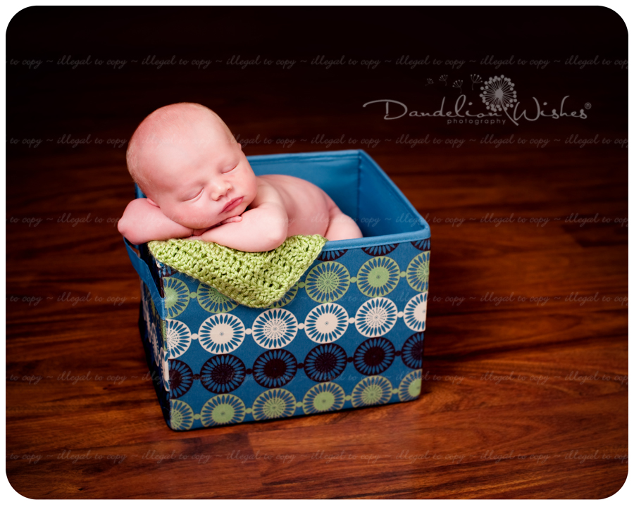 Premier boutique Newborn baby studio photographer, Gainesville Virginia 20155, 20156.