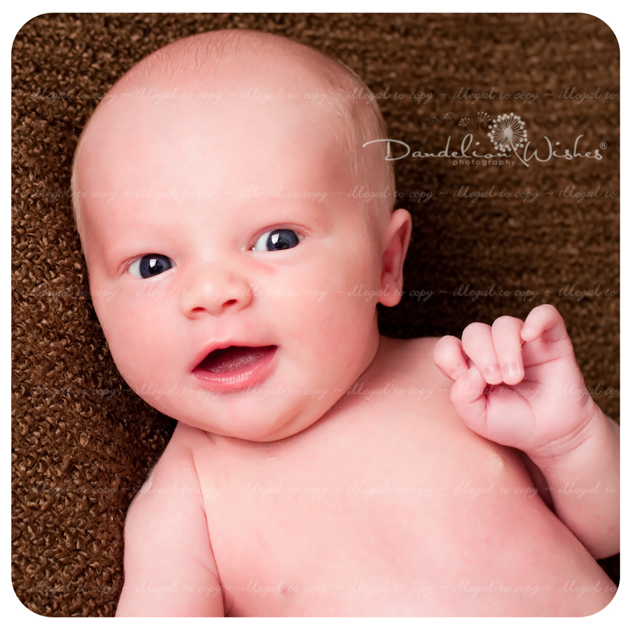 Unique Newborn baby studio photographer, Gainesville Virginia 20155, 20156.