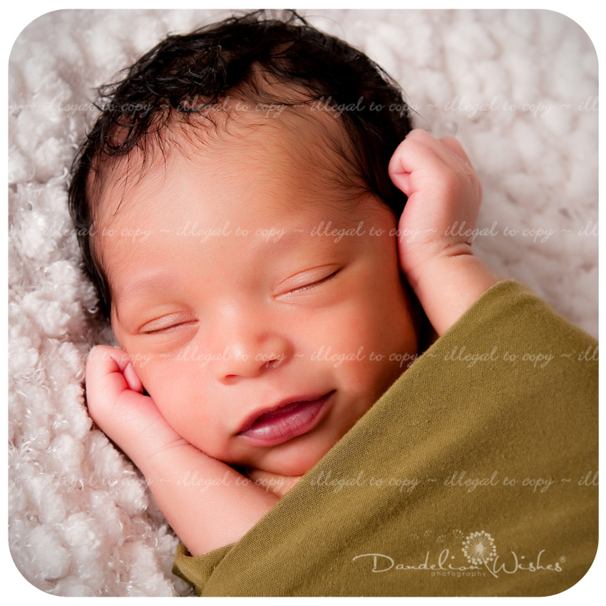 Adorable Newborn Baby Portraits ~ Photography Studio in Northern VA near Leesburg VA