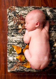 DSC_6508_ss DSC_6508_ss