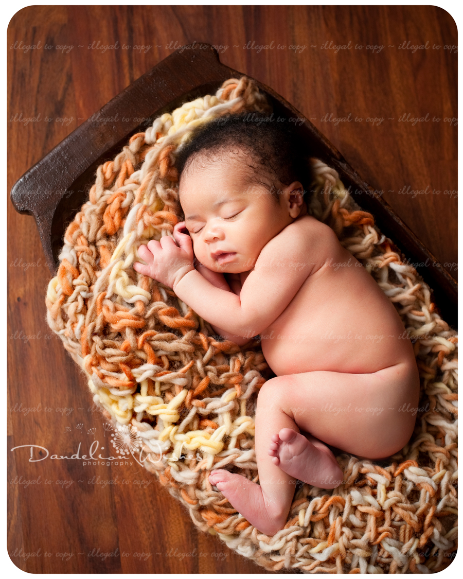 Artistic newborn baby photography, Accokeek, Maryland 20607.
