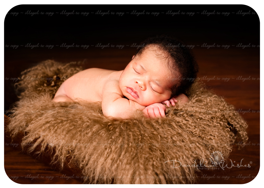 The best artistic newborn photography near Accokeek, Maryland 20607