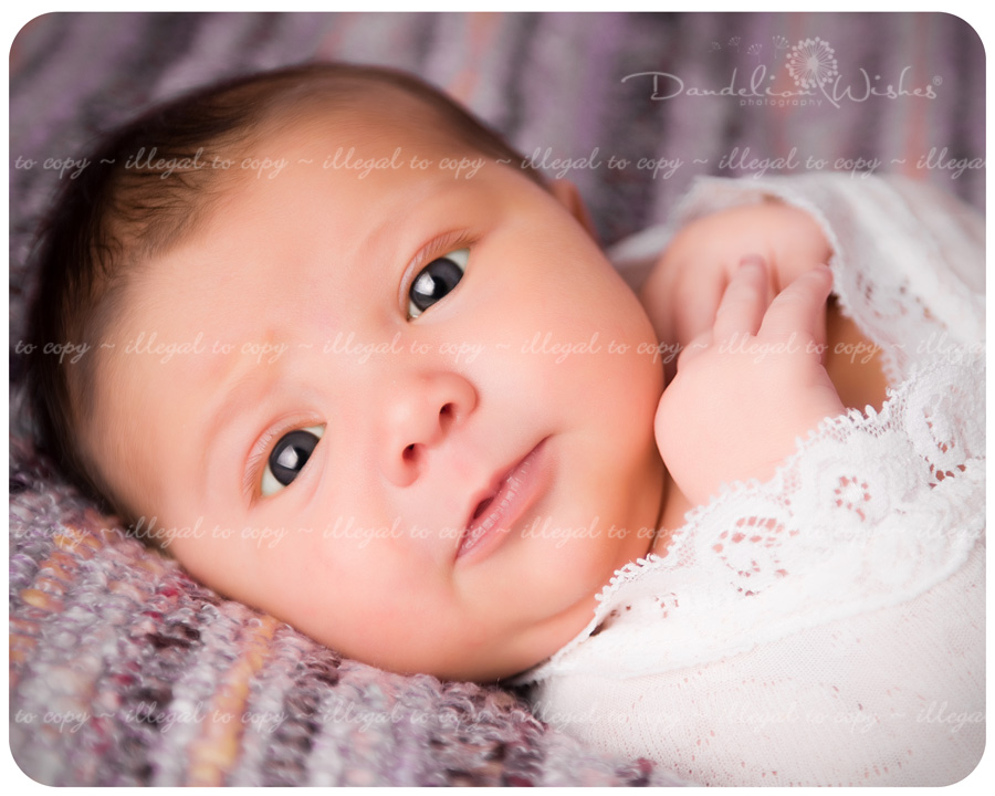 DSC_6568_blog