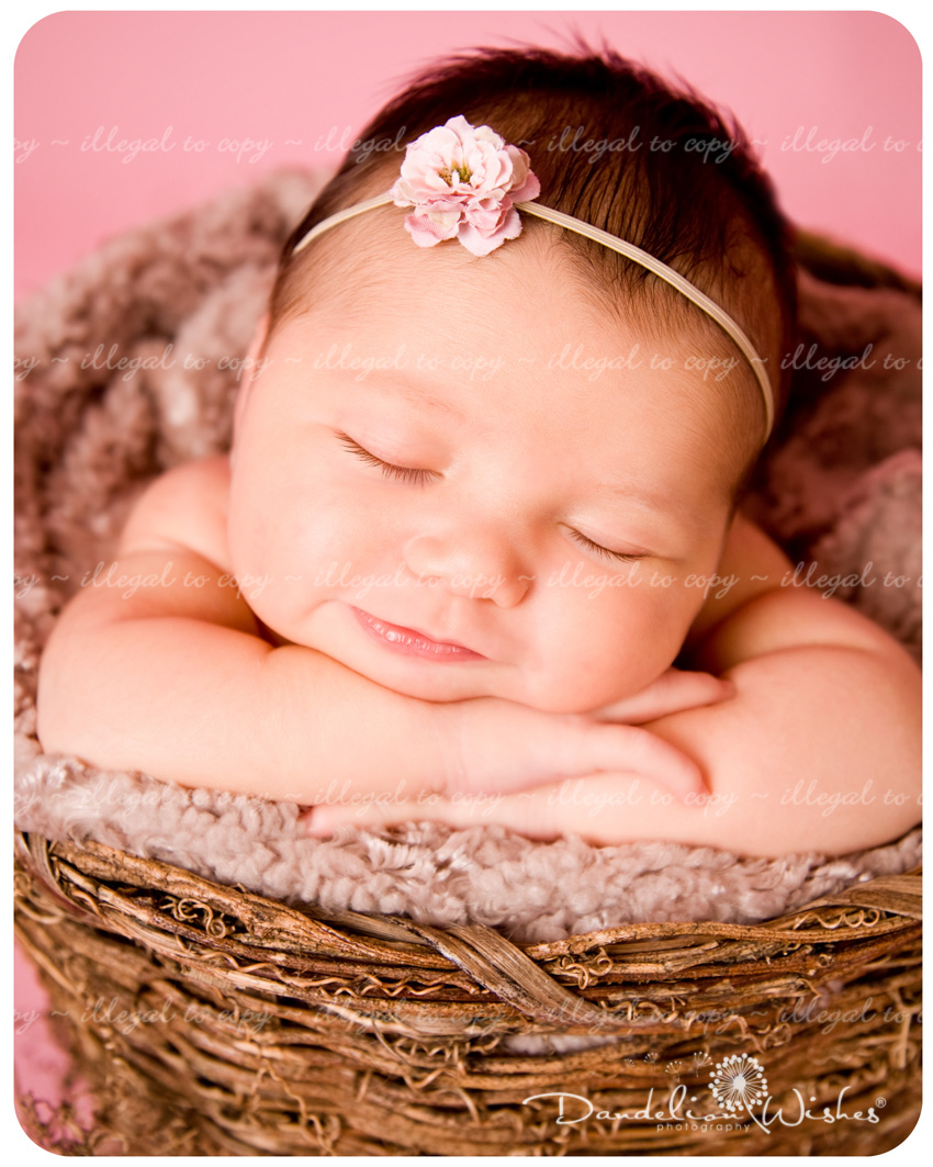 DSC_6677_blog