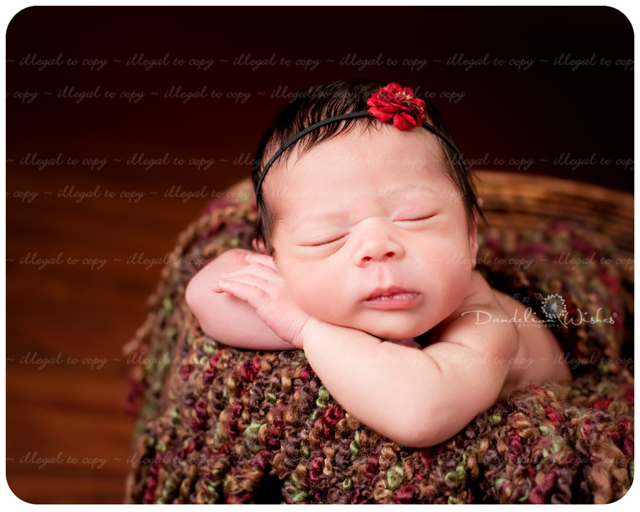 Newborn Baby Photographer to Alexandria VA 22309, 22308, 22306, 22307 & 22314.