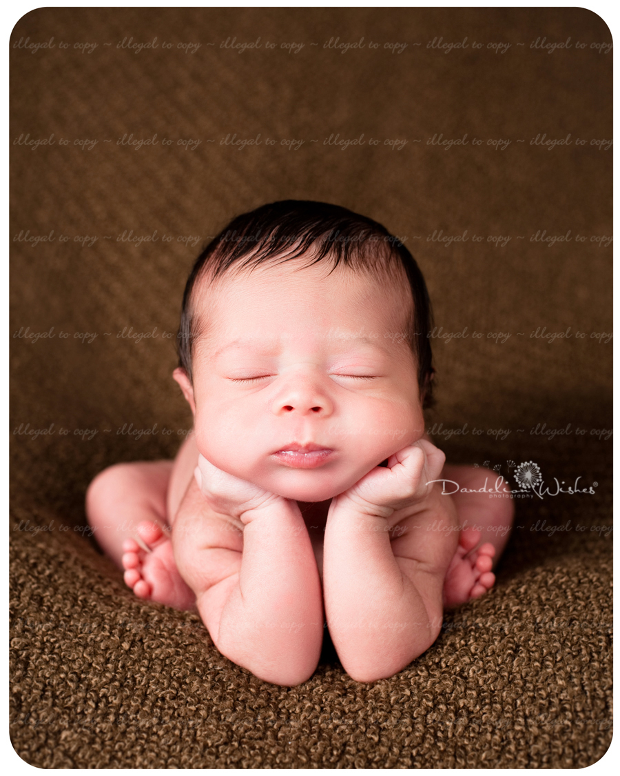 Newborn Baby Photographer to Alexandria VA 22309, 22308, 22306, 22307 & 22314.