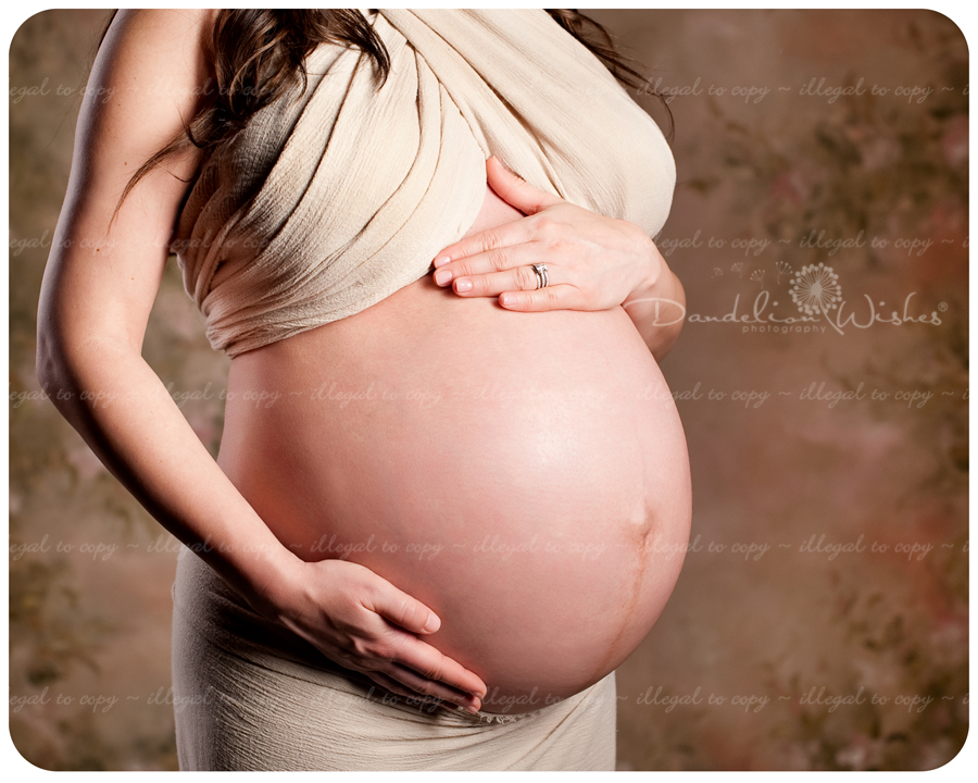 Beautiful maternity portraits near Reston, Virginia 20190, 20191, 20194, 20195, 20196 & 22096. Beautiful maternity portraits near Reston, Virginia 20190, 20191, 20194, 20195, 20196 & 22096.