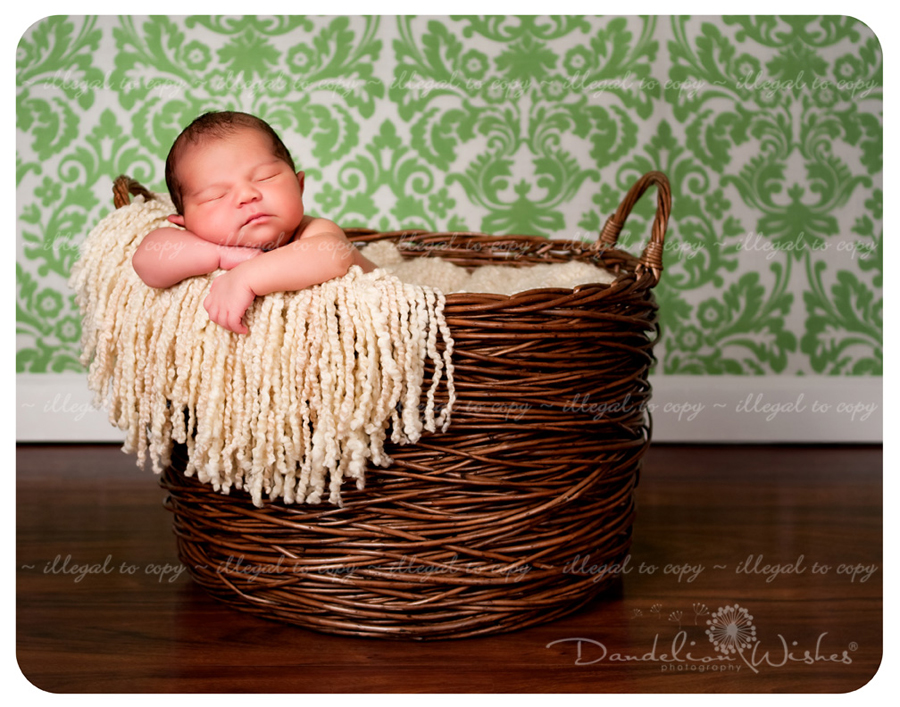 The best studio for artistic newborn photography in the Suburban Maryland, Washington DC metro area. The best studio for artistic newborn photography in the suburban Maryland, Washington DC metro area.