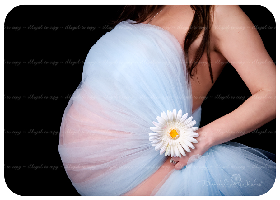 Baby bump maternity portraits near Reston, Virginia 20190, 20191, 20194, 20195, 20196 & 22096. baby bump maternity portraits near Reston, Virginia 20190, 20191, 20194, 20195, 20196 & 22096.
