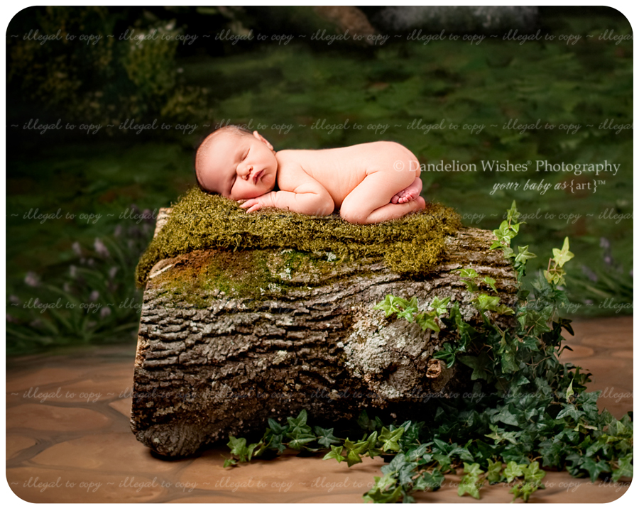 The best unique artistic newborn photography near Quantico, VA 22134, Prince William County. The best unique artistic newborn photography near Quantico, VA 22134, Prince William County.