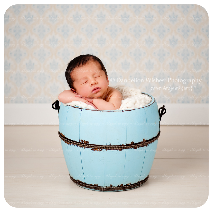 Newborn baby picture photographer near Culpeper, Virginia 22701. Newborn baby picture photographer near Culpeper, Virginia 22701.