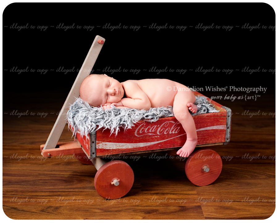 Best newborn photographer for unique newborn photography.  Located in Northern Virginia.