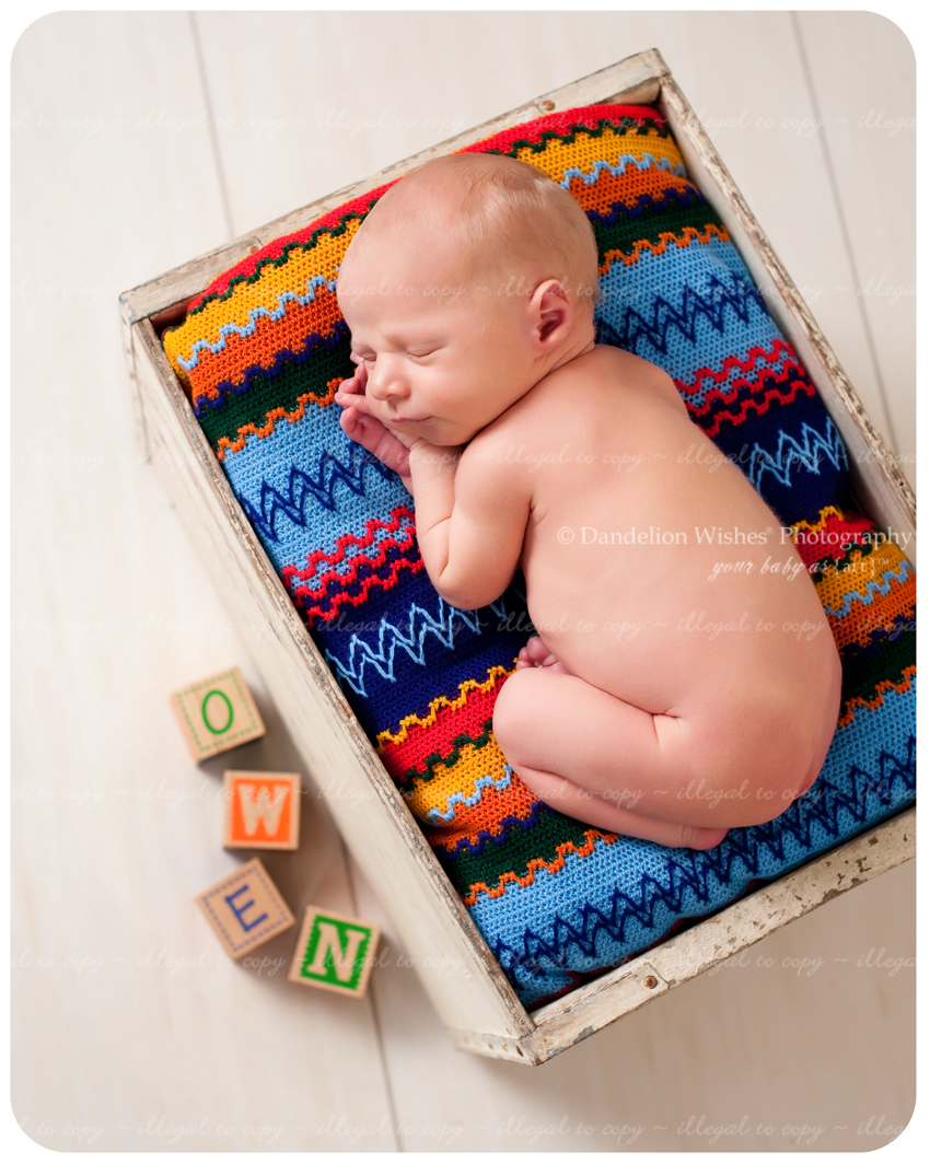 Best newborn photographer for unique newborn photography. Located in Northern Virginia. Best newborn photographer for unique newborn photography. Located in Northern Virginia.