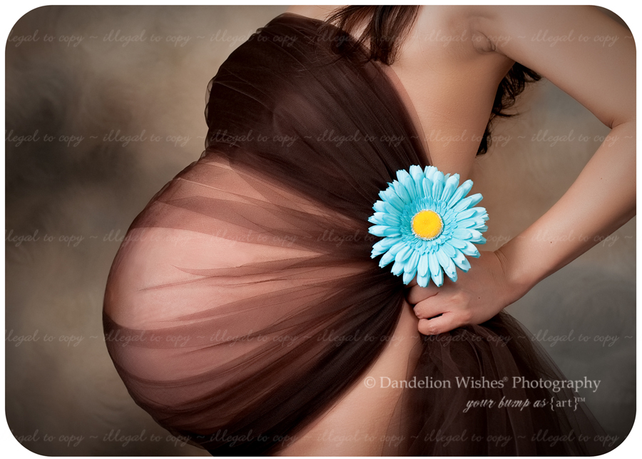 Pregnancy & Maternity photos near Charlottesville, VA 22901, 22902, 22903, 22904, 22905, 22906, 22907, 22908, 22909, 22910, 22911 ~ Portrait Studios near Albemarle Co. Virginia Maternity & Pregnancy pictures near Charlottesville, VA 22901, 22902, 22903, 22904, 22905, 22906, 22907, 22908, 22909, 22910, 22911 ~ Portrait Studios near Albemarle Co. Virginia