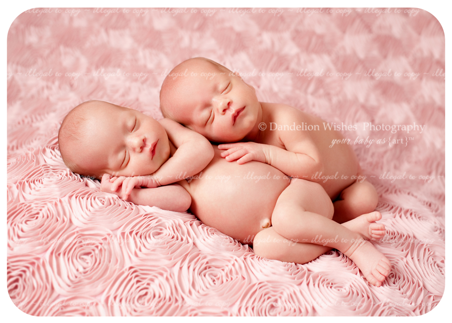 Experienced newborn baby photographer for identical twins Northern Virginia, NoVA. Experienced newborn baby photographer for identical twins Northern Virginia, NoVA.