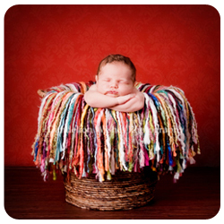 Premier newborn photography studio in the Northern VA, Washington DC metro area and close to suburban Maryland.  