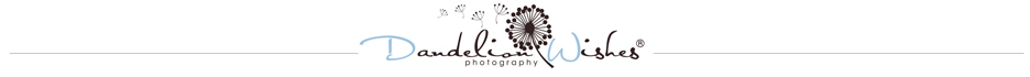 Professional Photographers ~ Photography Studios ~ Portrait Studio ~ Warrenton Virginia Out of Town Clients divider