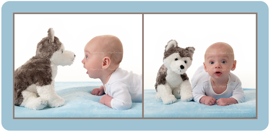 best baby photos in northern virginia - your baby as art™ best baby photos in northern virginia