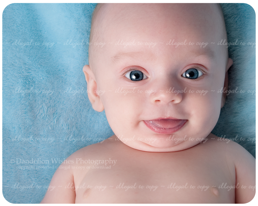 best baby portrait studio northern virginia - your baby as art™ best baby portrait studio northern virginia