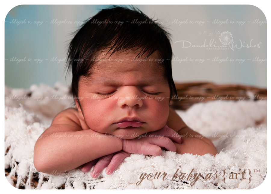 unique artistic newborn photography portrait studio near alexandria virginia washington dc metro area