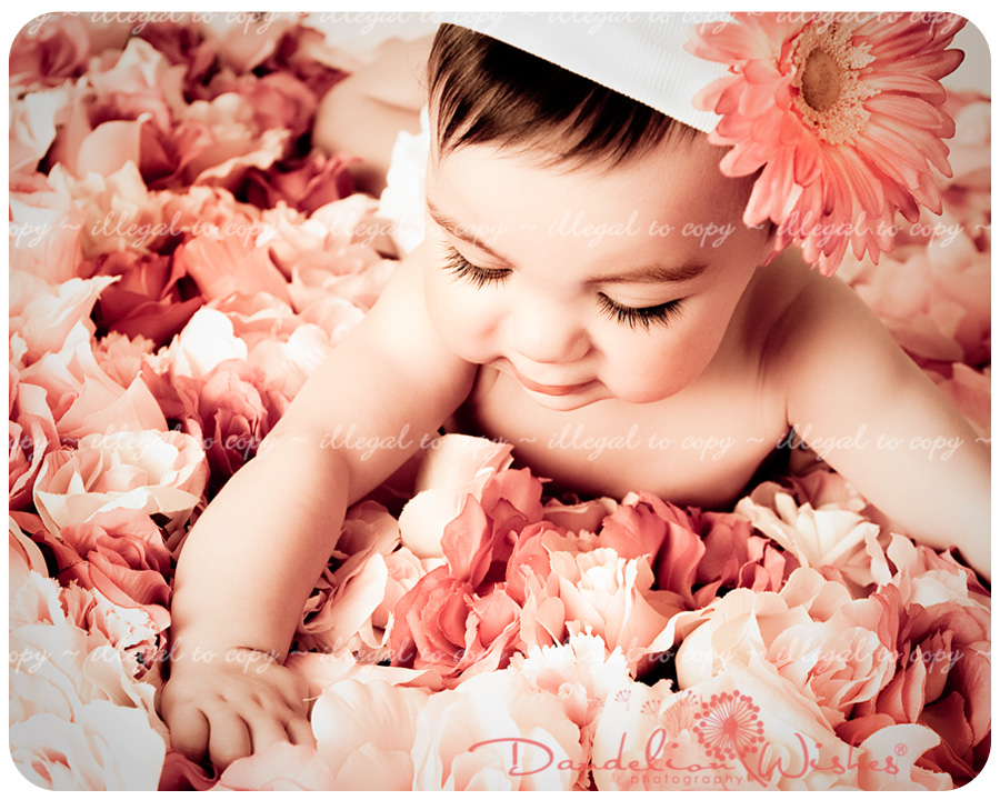 creative baby photographer serving suburban maryland, northern virginia and washington dc metro area 