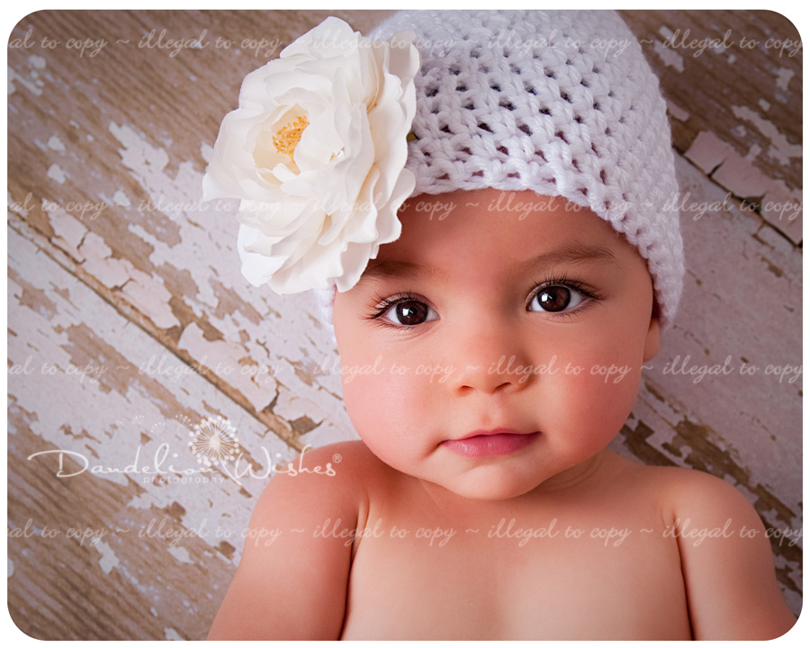 creative baby portrait photographer near washington dc metro area, suburban maryland in northern virginia
