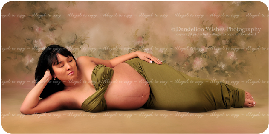 Beautiful Pregnancy Photography Washington D.C.
