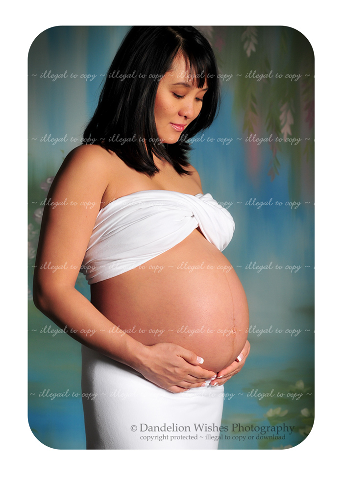 Pregnancy Photography Washington D.C.