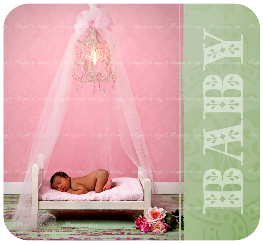 Unique creative newborn baby portrait studio northern virginia