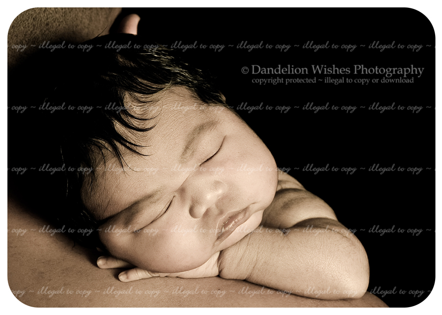 dad and baby photographer near loudoun county virginia