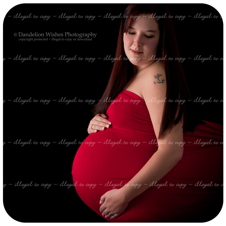 pregnant portraits near laurel maryland