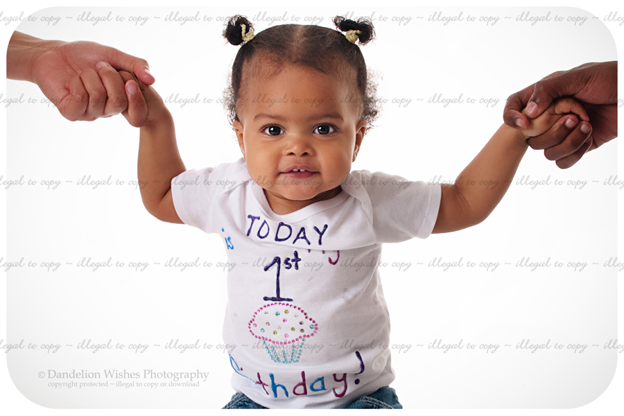 one year old birthday pictures northern virginia photographer