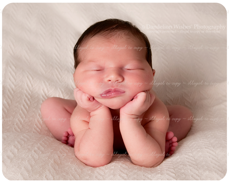 unique & creative newborn baby photography in the suburban maryland, washington dc metro area - your baby as art™ unique & creative newborn baby photography in the suburban maryland, washington dc metro area