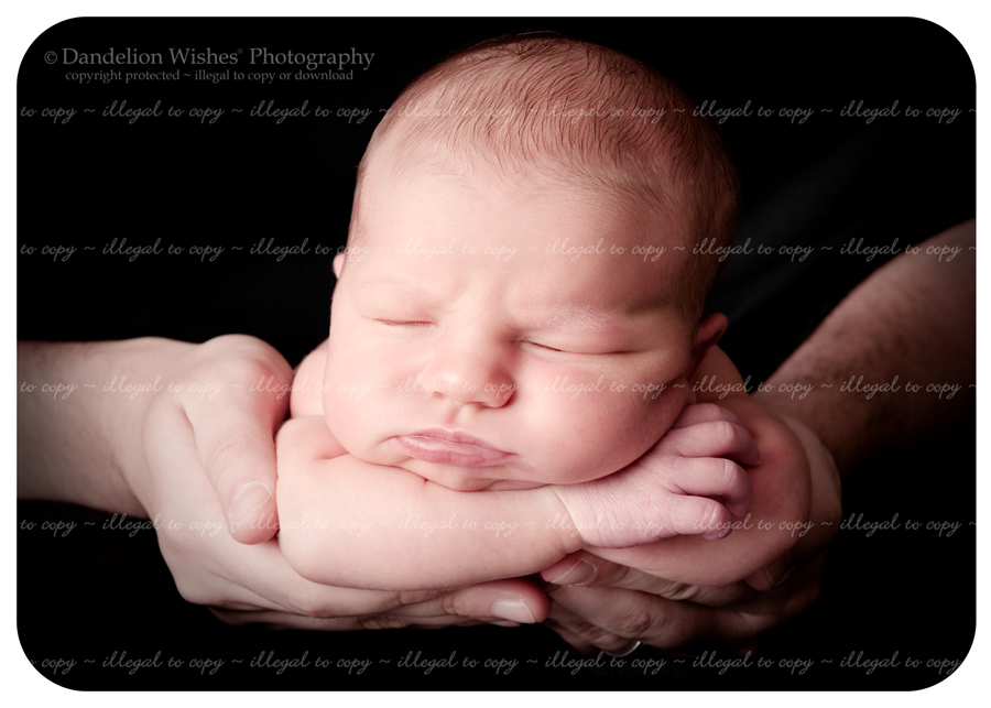 Unique Father & Baby pictures near Springfield Virginia 