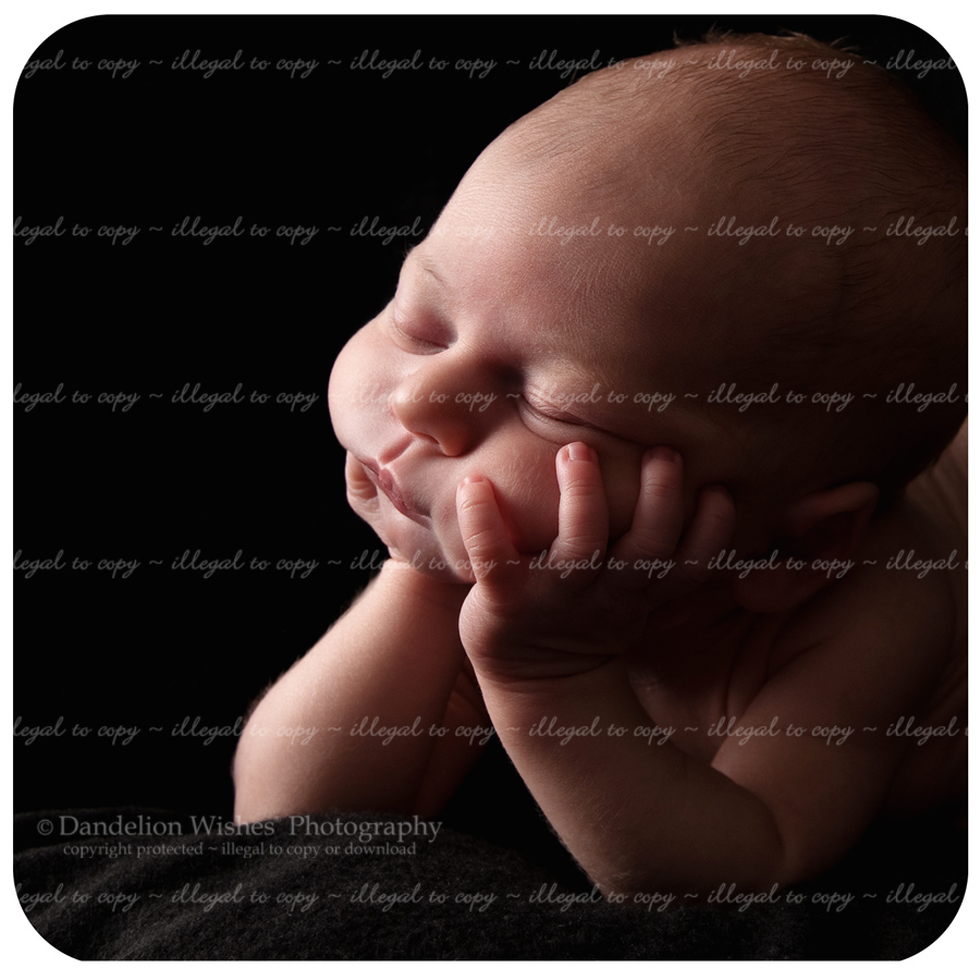 newborn baby photography studio near fairfax county virginia