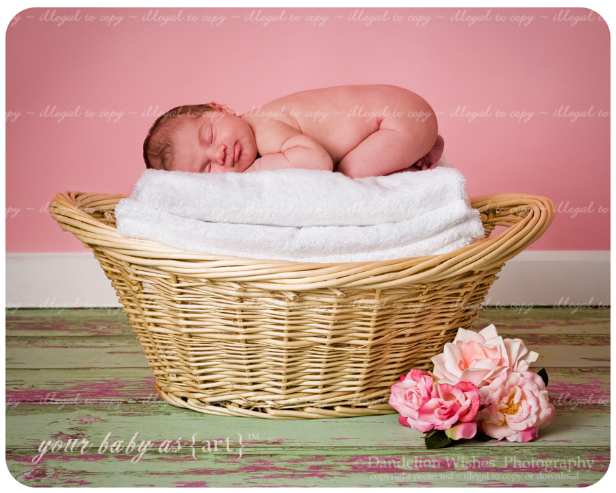 Unique creative newborn portraits northern virginia Lorton VA